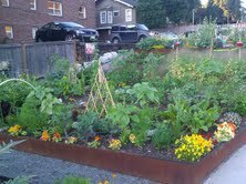 Rebecca persevered and enjoyed many salads!