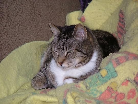 Zu Zu's Petals, 29 February 1992-10 January 2014