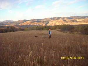 Shawn and Ellie hunt the Royal Macnab at first light. 