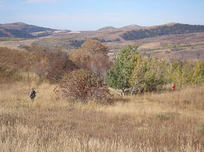 Walter and Andy work the tree line. 