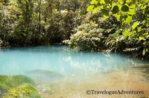 Tenideros Rio Celeste Costa Rica Picture