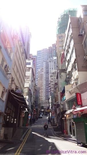 DSC03334