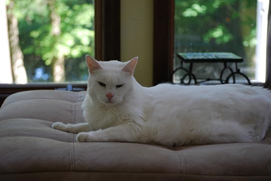 Mugga's last picture