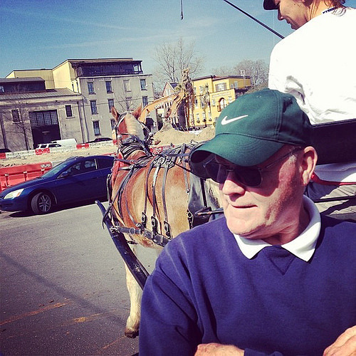 Heading out on a horse drawn carriage tour.