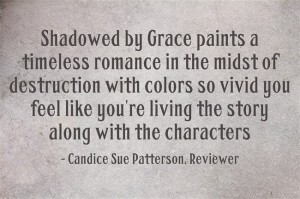 Shadowed-by-Grace-paints