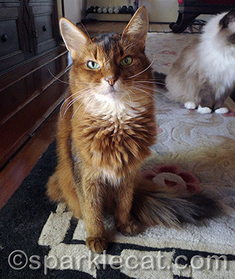 No fatcat bankers here! I am very svelte