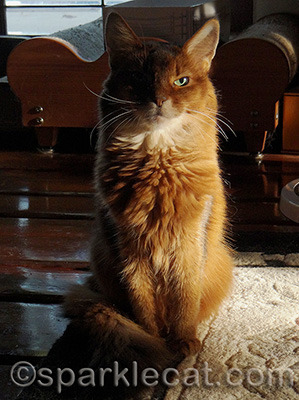 I was posing so patiently - and she never used this!
