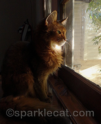 There was definitely something interesting out there!