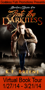 VBT Into the DarknessBook Cover Banner copy (2)