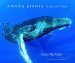 Among Giants A Life with Whales by Charles "Flip" Nicklin