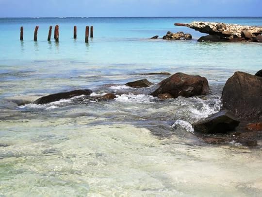 photo, image, flamenco beach, puerto rico