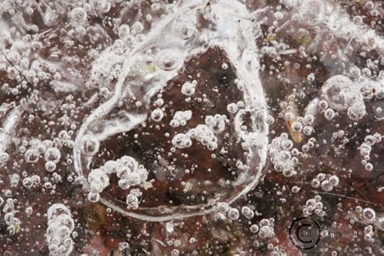 Like looking under a microscope seems I discovered an Amoeba of sorts and molecular bubble cells...