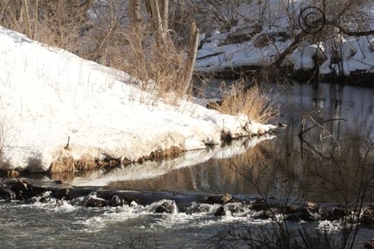 Sunshine on the glassy water's surface! Ah, I can't wait for spring.
