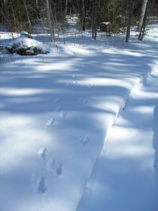 ???????????????????????????????