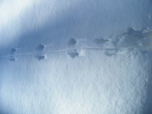 ???????????????????????????????