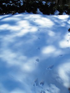 ???????????????????????????????