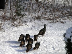 ???????????????????????????????