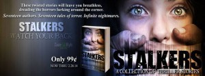 sale banner
