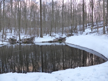 mt gretna frog pond 2014