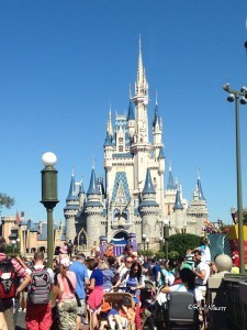 Cinderella Castle