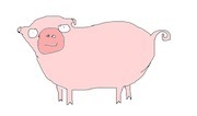 pig.jpg