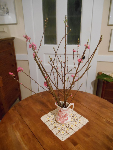 Flowers 1