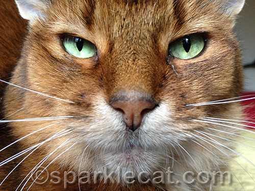 Ha! I bet SHE'D love it if I posted an unretouched photo of her!
