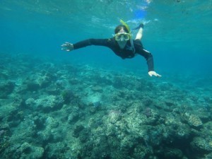 Great Barrier Reef