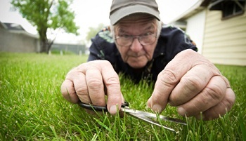 grass-cutting