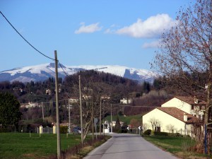IMG_0615