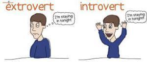 Introvert 1