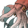 20140205144348-squid