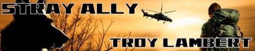 Stray Ally by Troy Lambert - sm banner