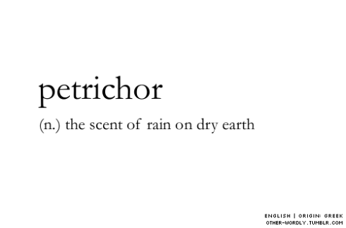petrichor