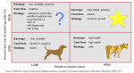 bcg matrix