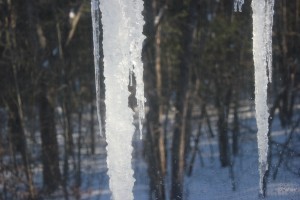 IMG_1467