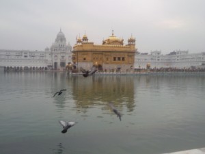rsz_photo2134