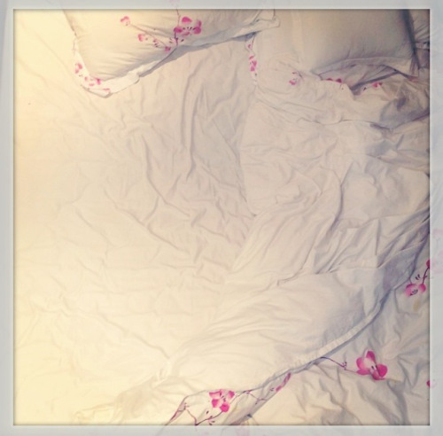 photo11