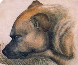 Emily’s dog “Keeper” (painted by her).
