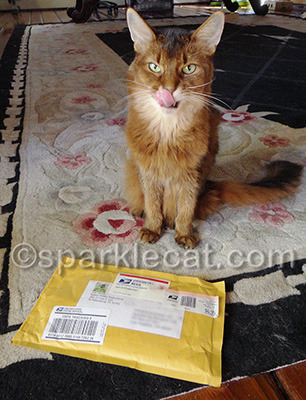 I was actually not disappointed it was not treats!
