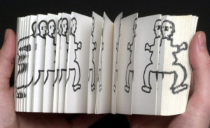 FLIP BOOK