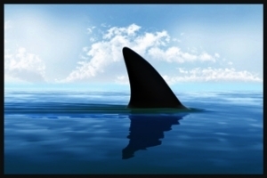  photo 2bf2ce49-30c3-4534-8719-fc7e9a2c7d85_zps7da21f3f.jpg