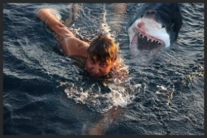  photo 68452c8c-3392-4f6f-b946-c34f8bcd514e_zps5c635722.jpg