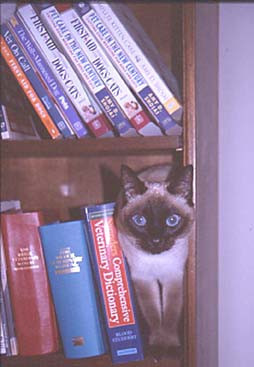 serenbooks