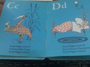 DSC_1420(1)