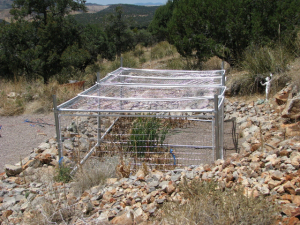 wetland fence 2 (640x480)