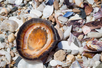 De Hoop Nature Reserve