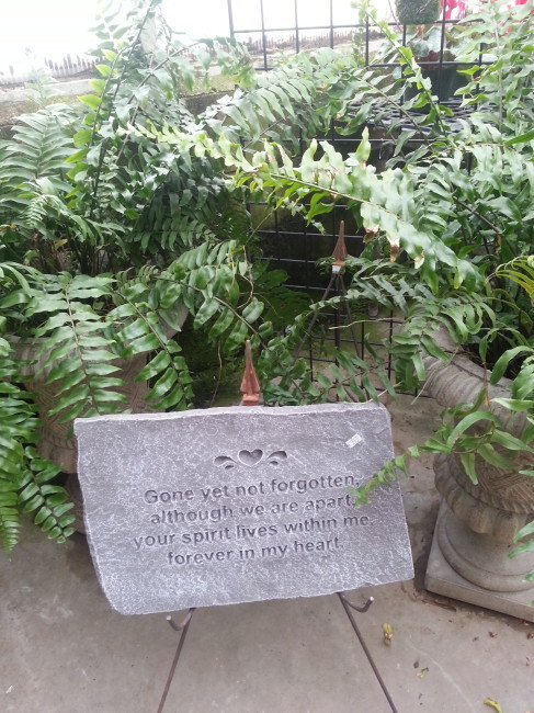 The message that greeted me when I entered the Garden Center, and thinking of my brother, I just had to share it.
