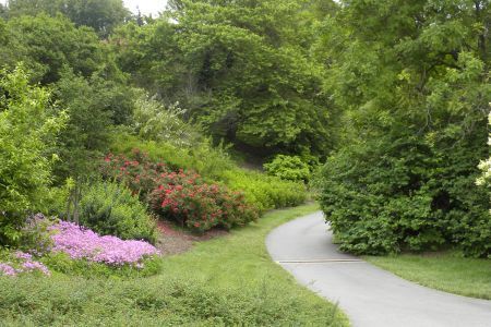 Give careful thought to the paths for your feet