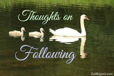 Thoughts on Following